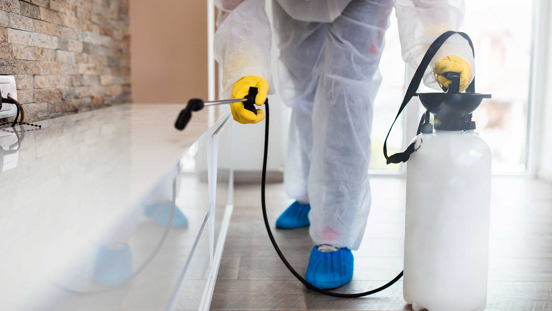 Pest Control Bournemouth