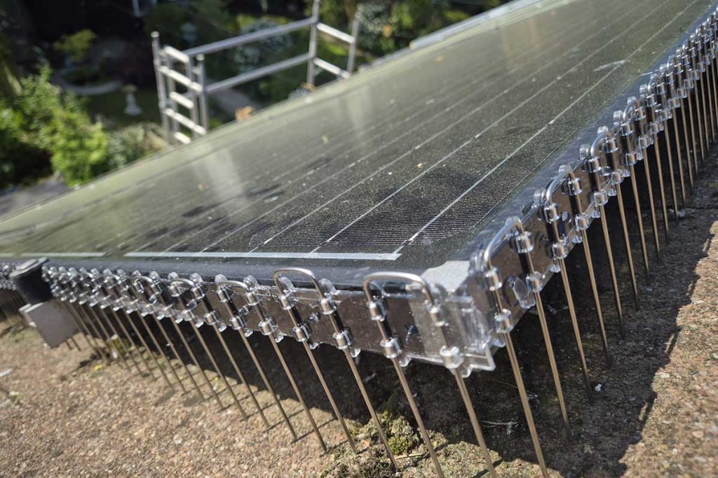 Pest control in Brockenhurst