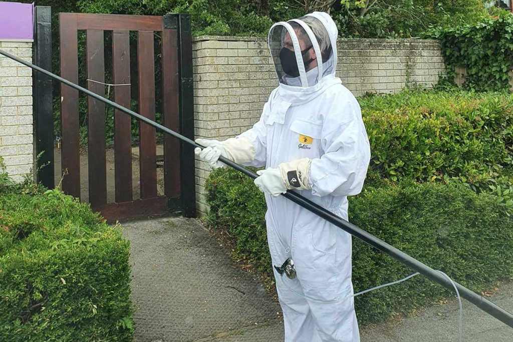 Pest control in Brockenhurst