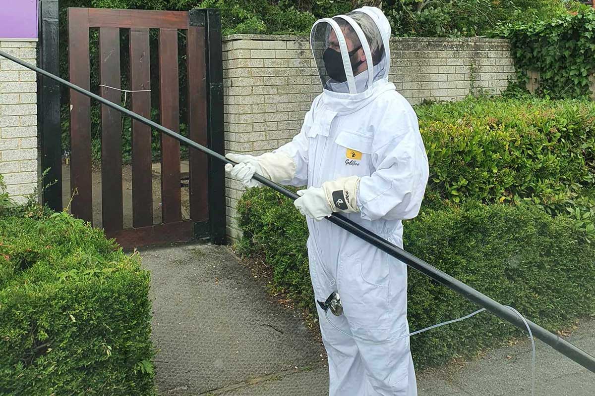 Pest Control Ferndown