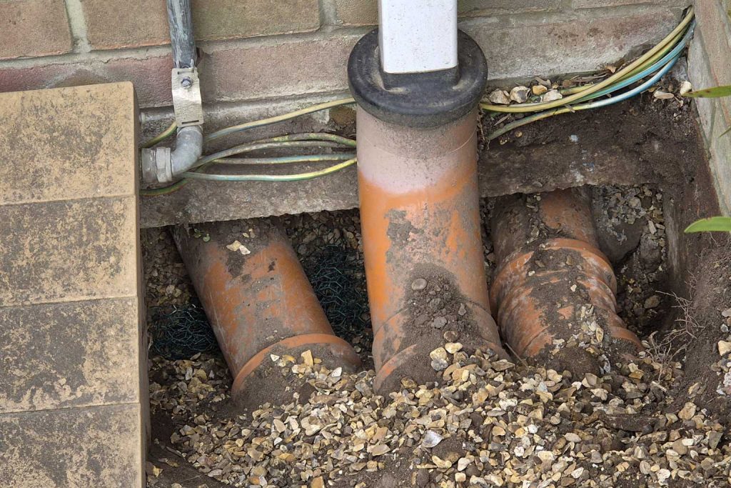 Pest Control Lymington