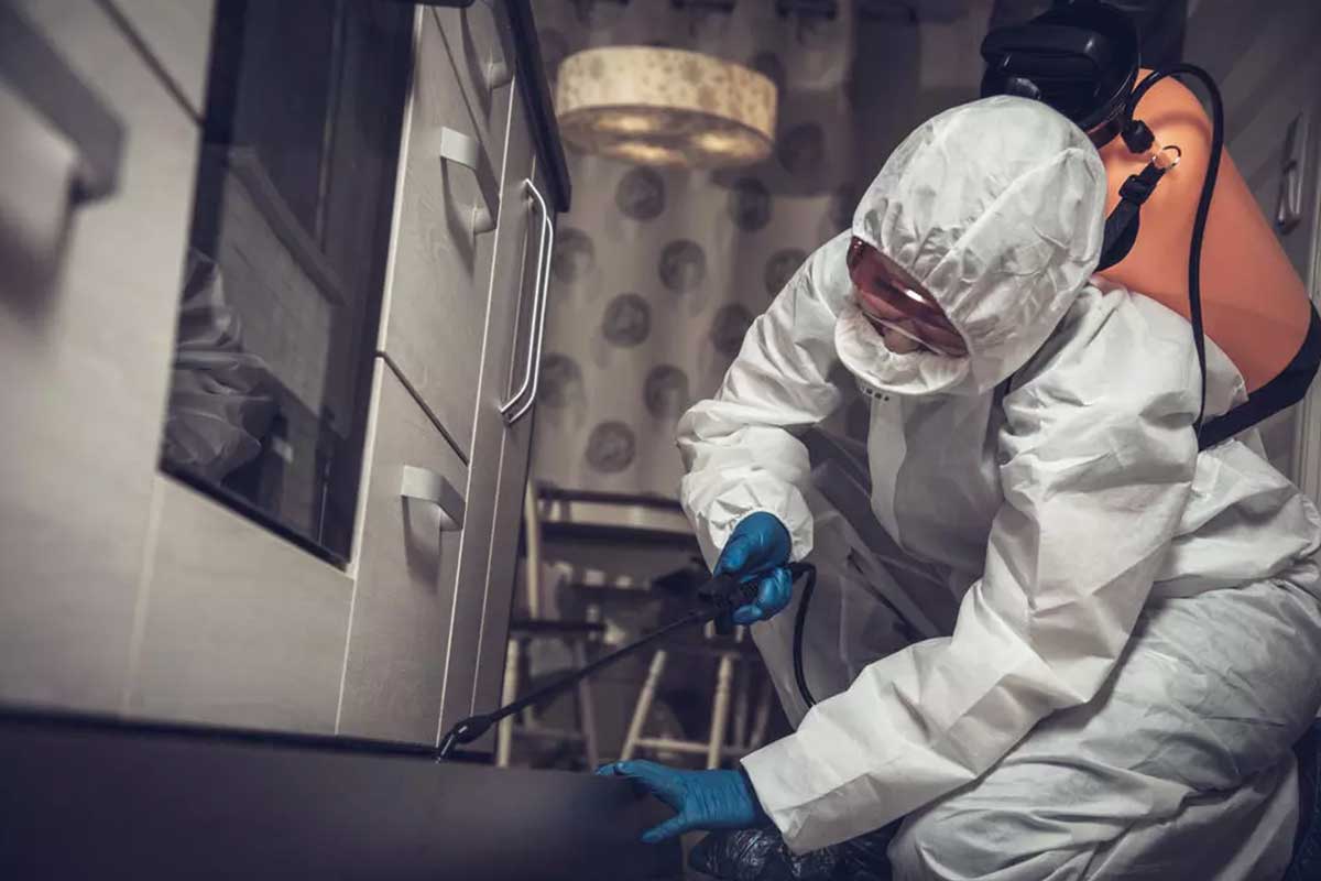 Pest Control Ringwood