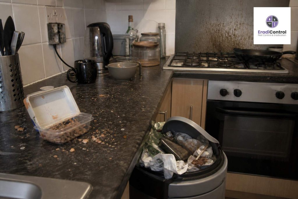 Common household conditions that attract cockroaches in UK kitchens including food waste and bins