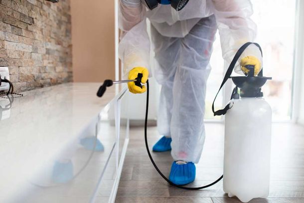 Domestic Pest Control