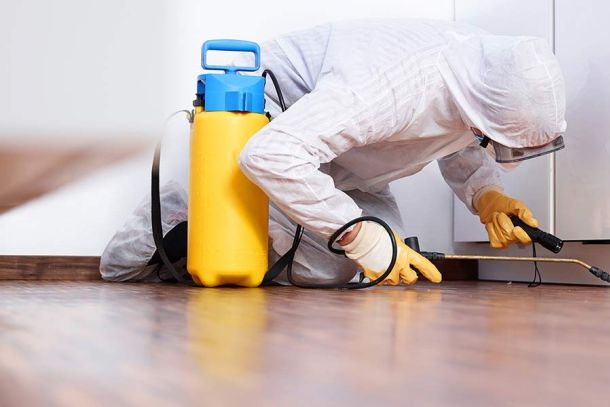 End Of Tenancy Fumigation