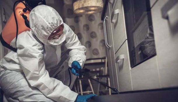 Emergency Pest Control