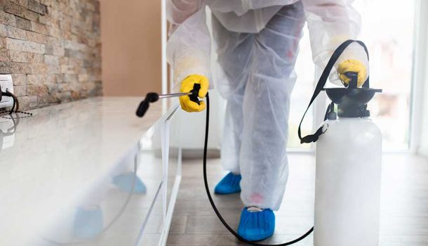 Domestic Pest Control