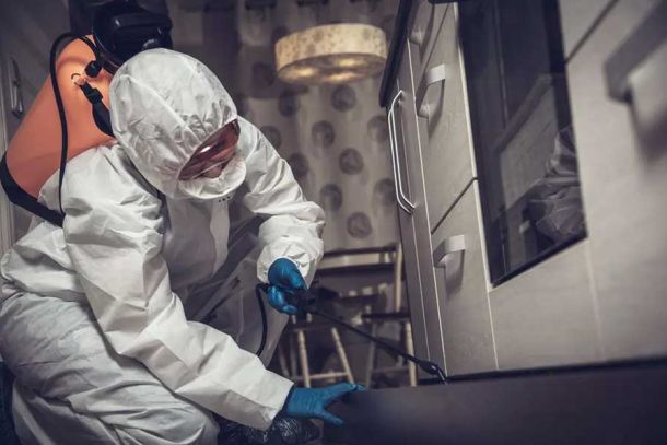 Emergency Pest Control