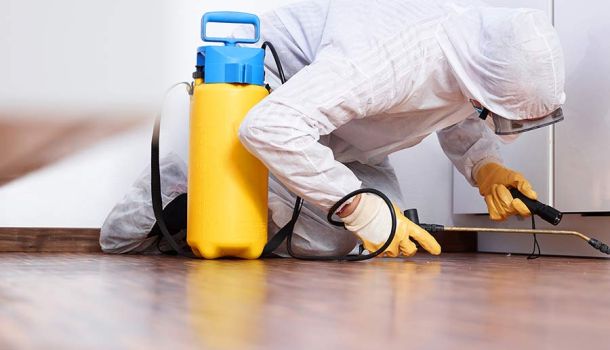 End Of Tenancy Fumigation