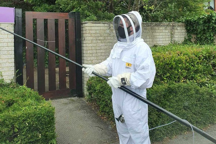 Pest Control New Milton